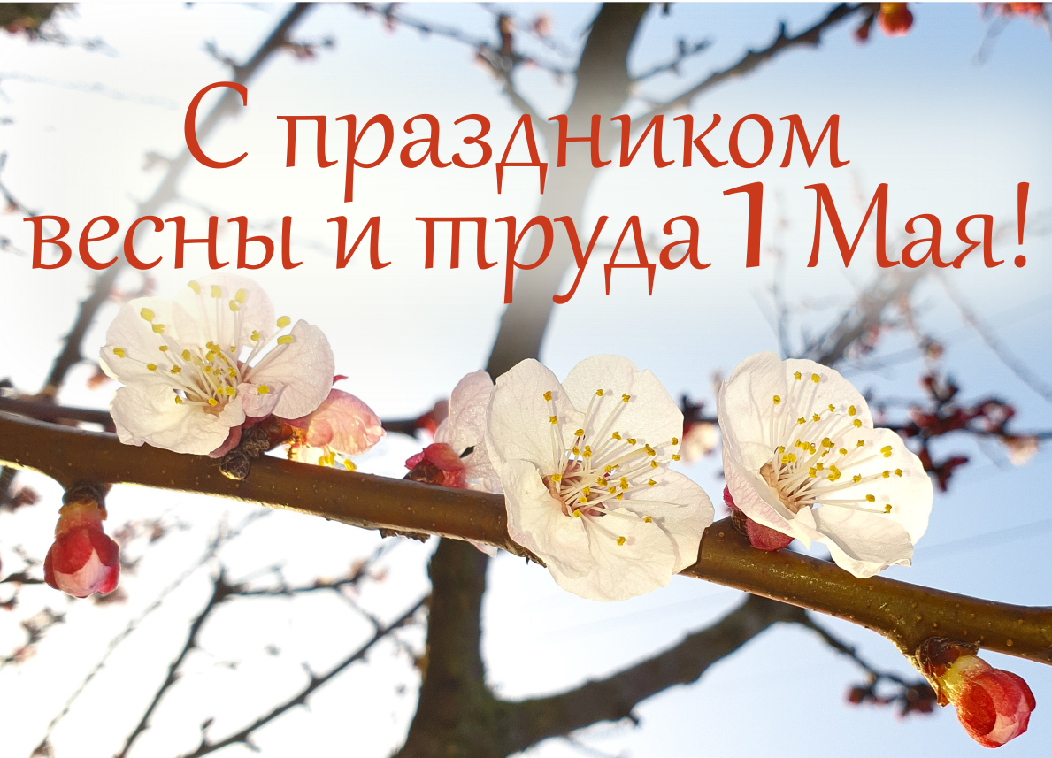 С праздником весны и труда! С праздником весны и труда!
