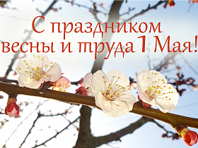 С праздником весны и труда! С праздником весны и труда!